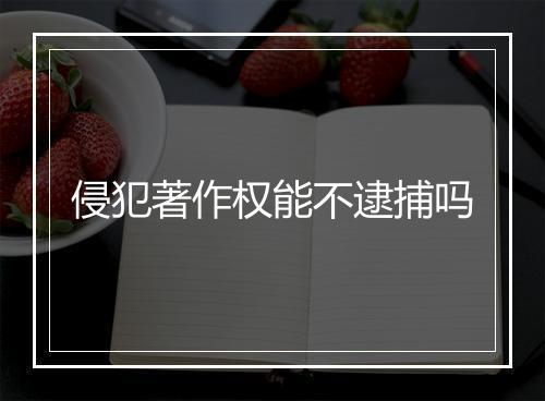 侵犯著作权能不逮捕吗