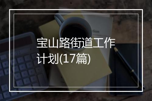 宝山路街道工作计划(17篇)
