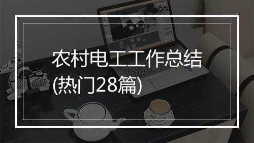 农村电工工作总结(热门28篇)