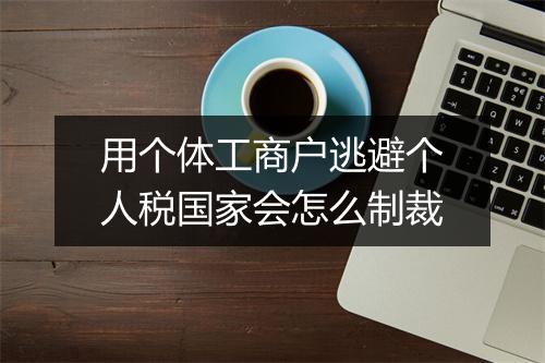 用个体工商户逃避个人税国家会怎么制裁
