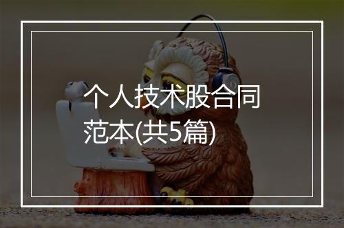 个人技术股合同范本(共5篇)