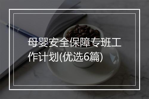 母婴安全保障专班工作计划(优选6篇)