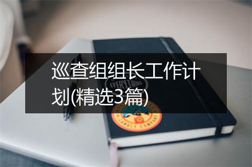 巡查组组长工作计划(精选3篇)