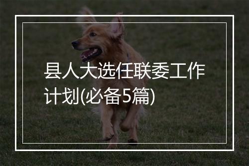 县人大选任联委工作计划(必备5篇)
