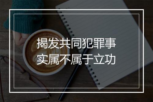 揭发共同犯罪事实属不属于立功