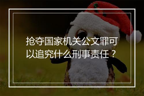 抢夺国家机关公文罪可以追究什么刑事责任?