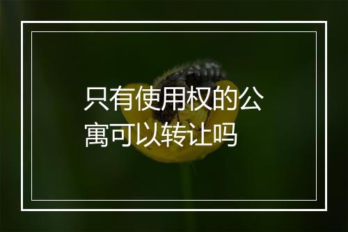 只有使用权的公寓可以转让吗