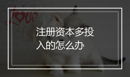 注册资本多投入的怎么办