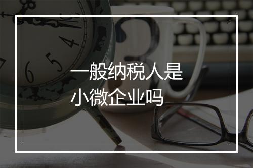 一般纳税人是小微企业吗