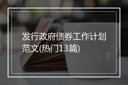 发行政府债券工作计划范文(热门13篇)