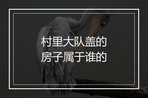 村里大队盖的房子属于谁的
