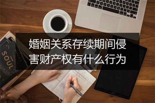 婚姻关系存续期间侵害财产权有什么行为