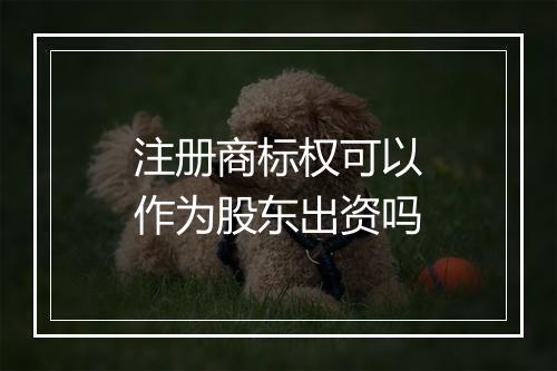 注册商标权可以作为股东出资吗