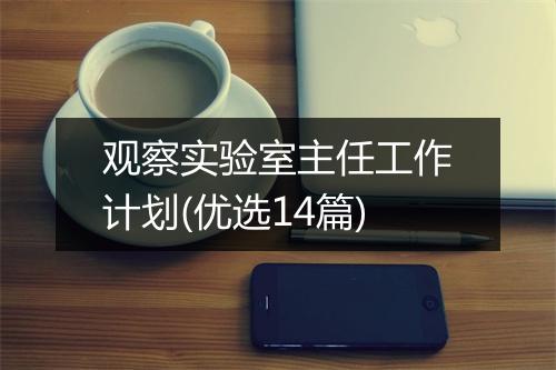 观察实验室主任工作计划(优选14篇)