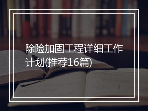 除险加固工程详细工作计划(推荐16篇)