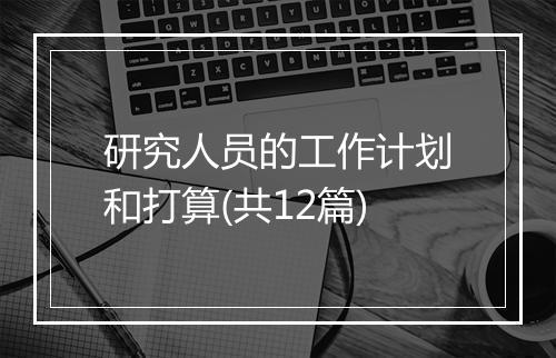 研究人员的工作计划和打算(共12篇)