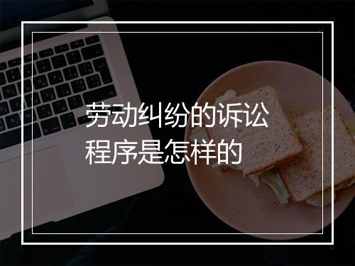 劳动纠纷的诉讼程序是怎样的