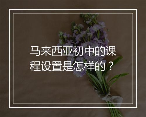 马来西亚初中的课程设置是怎样的?