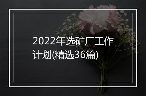 2022年选矿厂工作计划(精选36篇)