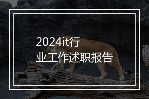2024it行业工作述职报告