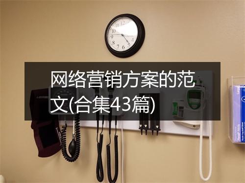 网络营销方案的范文(合集43篇)