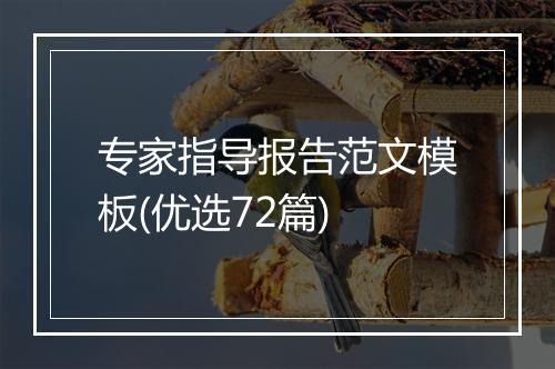 专家指导报告范文模板(优选72篇)