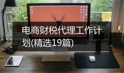 电商财税代理工作计划(精选19篇)