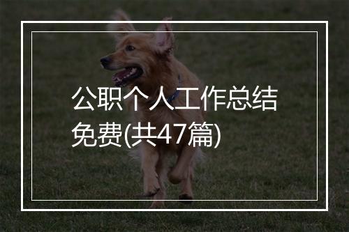 公职个人工作总结免费(共47篇)