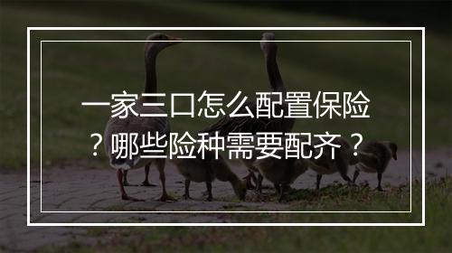 一家三口怎么配置保险?哪些险种需要配齐?