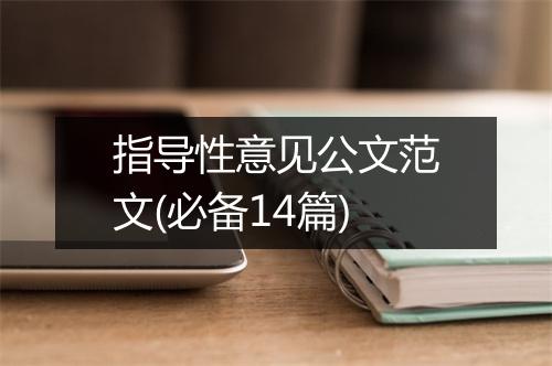 指导性意见公文范文(必备14篇)