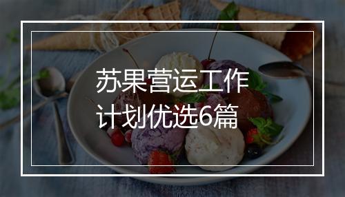 苏果营运工作计划优选6篇
