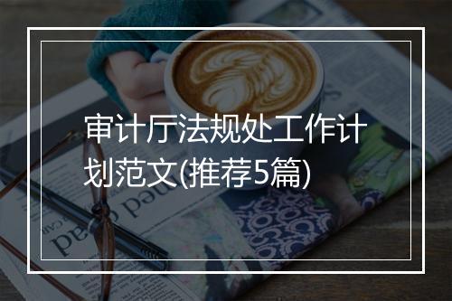 审计厅法规处工作计划范文(推荐5篇)