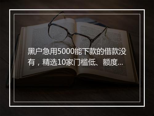 黑户急用5000能下款的借款没有,精选10家门槛低、额度高的应急贷款