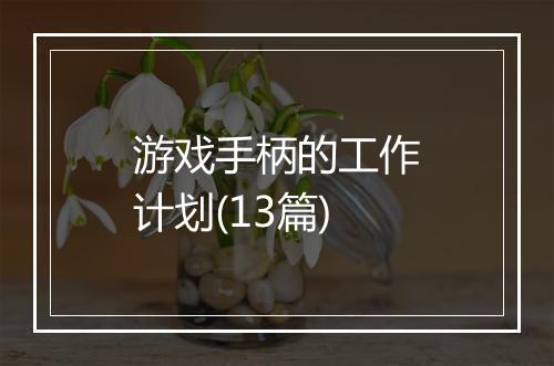 游戏手柄的工作计划(13篇)