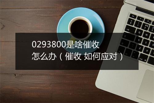 0293800是啥催收 怎么办(催收 如何应对)