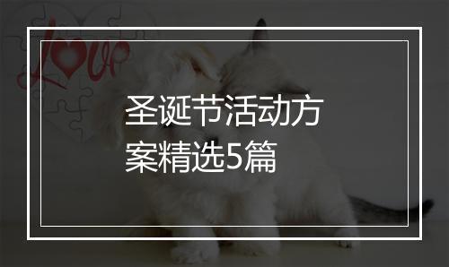 圣诞节活动方案精选5篇