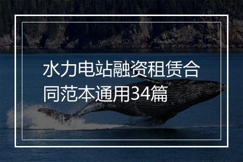 水力电站融资租赁合同范本通用34篇
