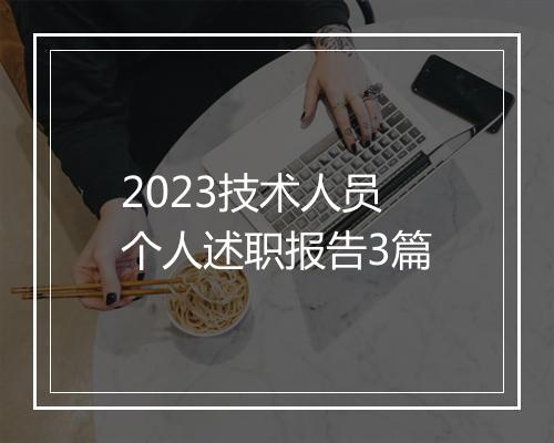 2023技术人员个人述职报告3篇