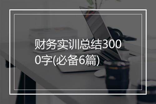 财务实训总结3000字(必备6篇)