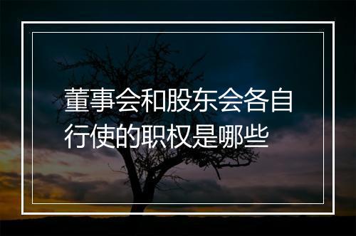 董事会和股东会各自行使的职权是哪些