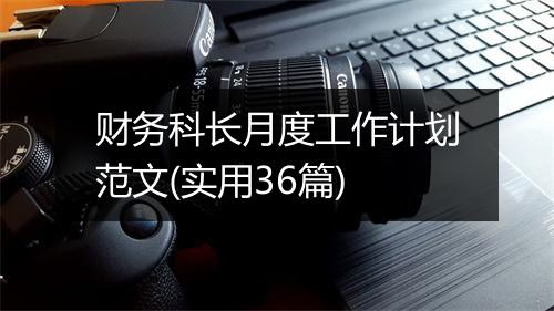 财务科长月度工作计划范文(实用36篇)