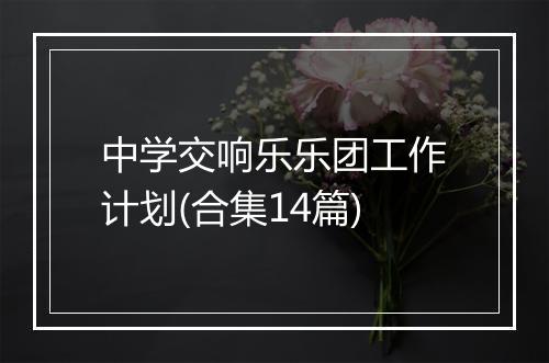 中学交响乐乐团工作计划(合集14篇)