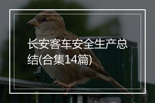 长安客车安全生产总结(合集14篇)