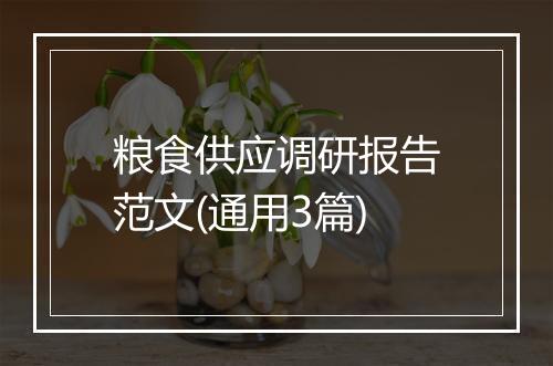 粮食供应调研报告范文(通用3篇)