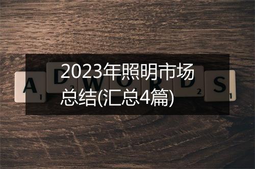 2023年照明市场总结(汇总4篇)