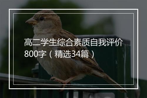 高二学生综合素质自我评价800字(精选34篇)