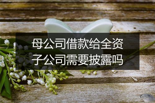 母公司借款给全资子公司需要披露吗