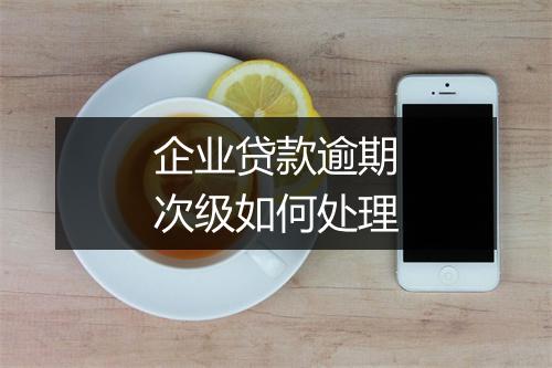 企业贷款逾期次级如何处理