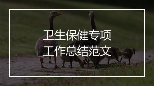 卫生保健专项工作总结范文