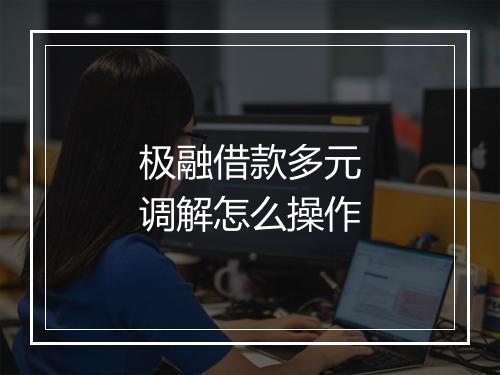 极融借款多元调解怎么操作